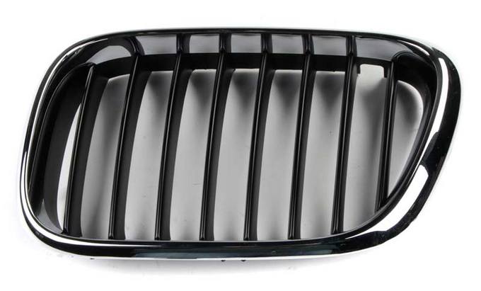 Kidney Grille - Front Driver Side (Black)